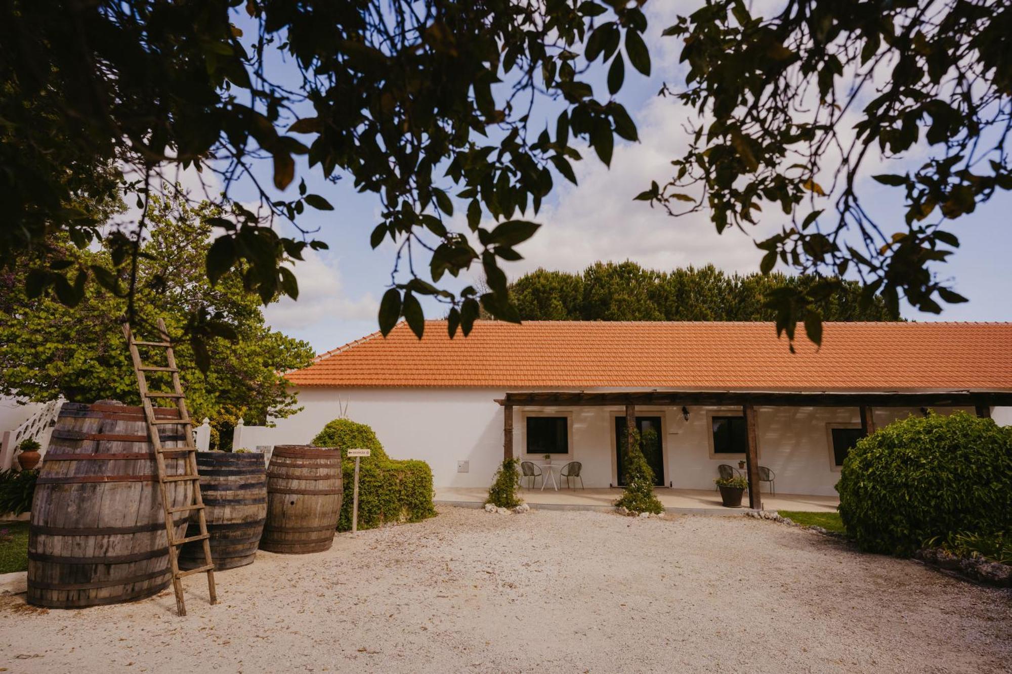 Quinta Carvalhas - The Green Farm Otel Casevel Dış mekan fotoğraf
