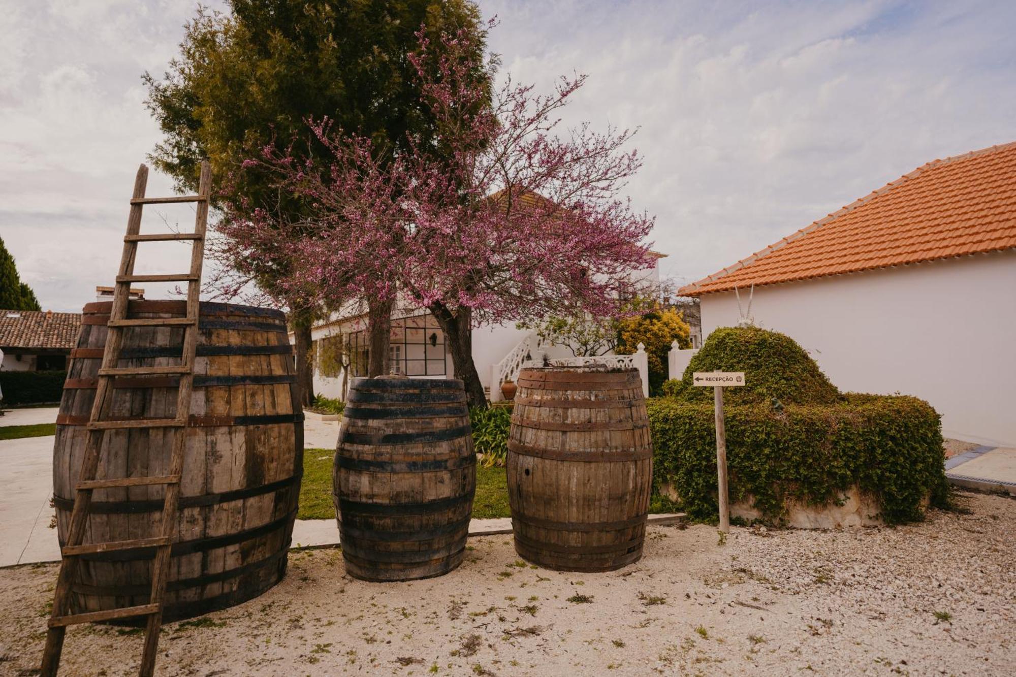 Quinta Carvalhas - The Green Farm Otel Casevel Dış mekan fotoğraf