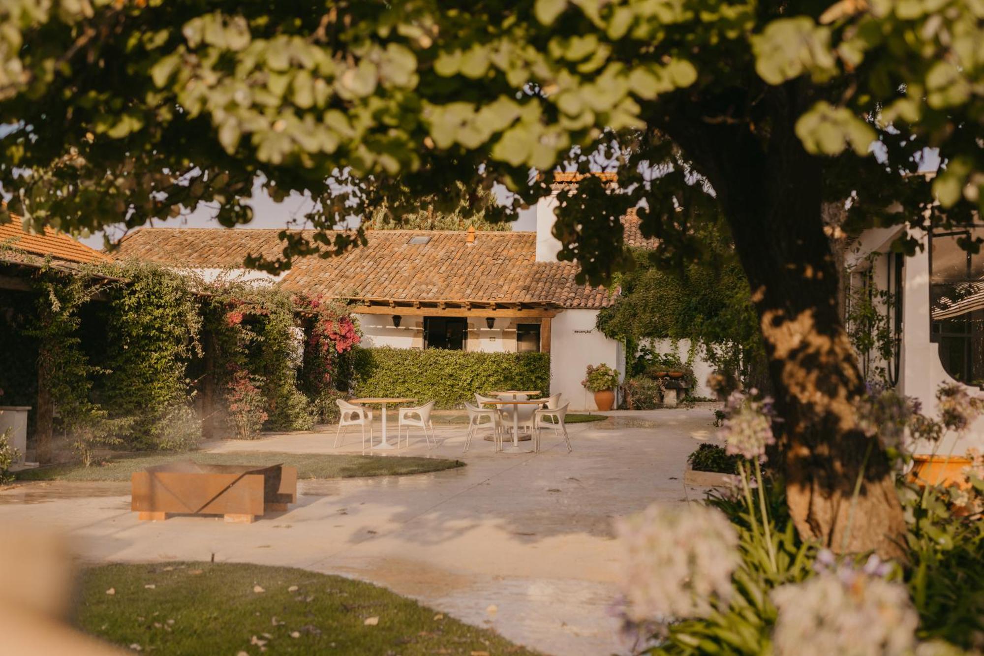 Quinta Carvalhas - The Green Farm Otel Casevel Dış mekan fotoğraf