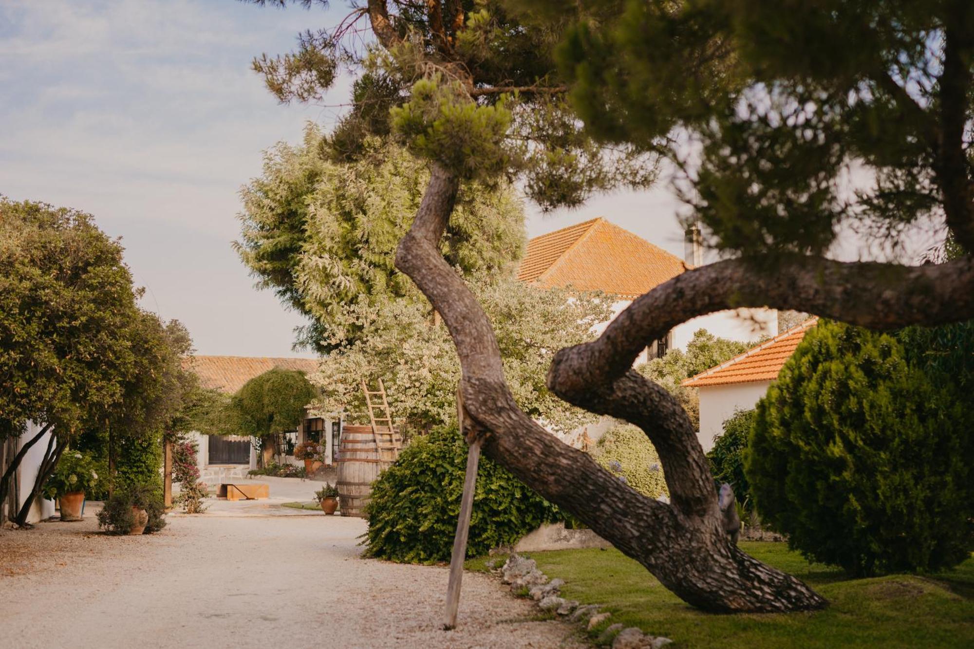 Quinta Carvalhas - The Green Farm Otel Casevel Dış mekan fotoğraf
