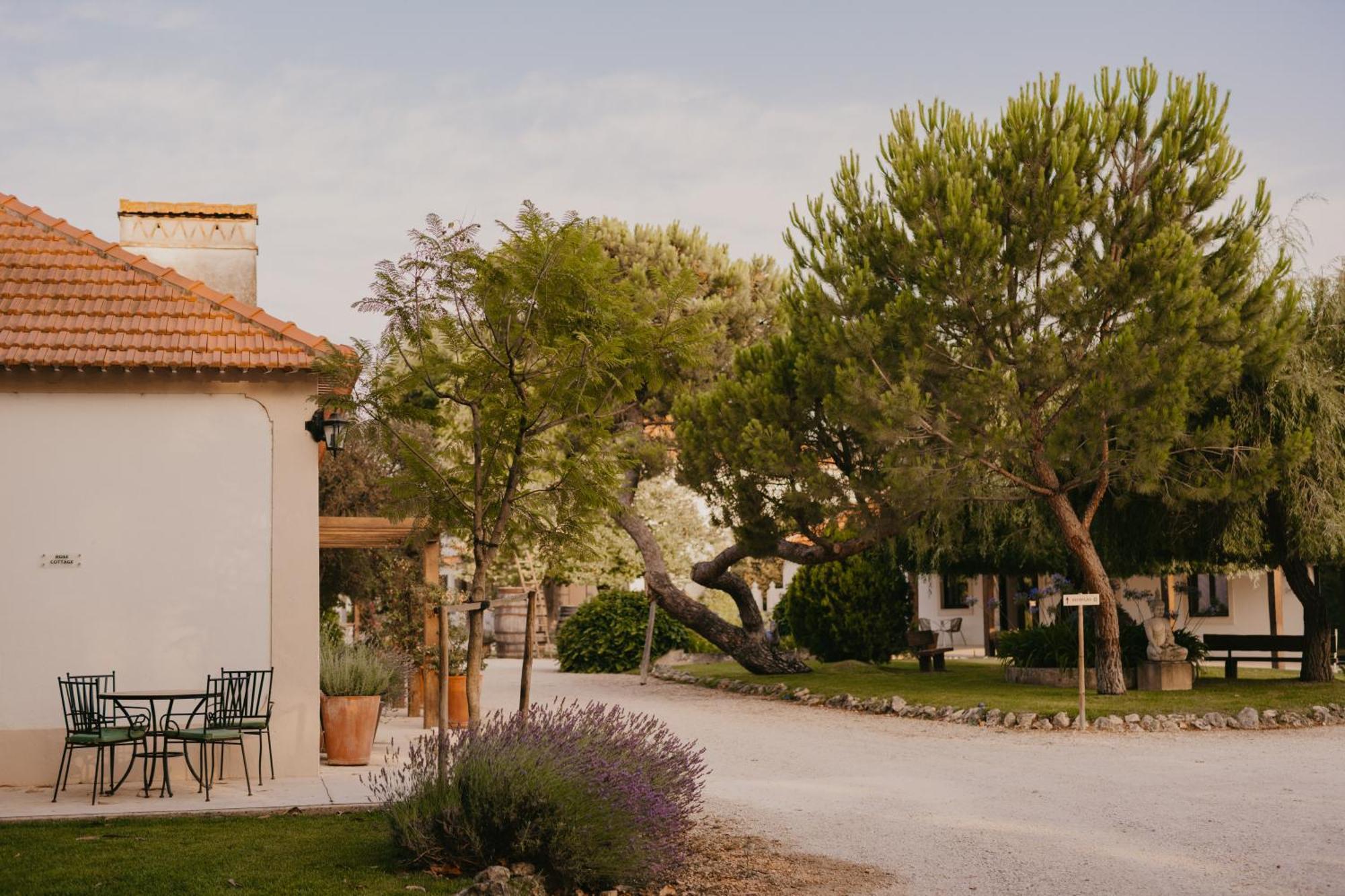 Quinta Carvalhas - The Green Farm Otel Casevel Dış mekan fotoğraf