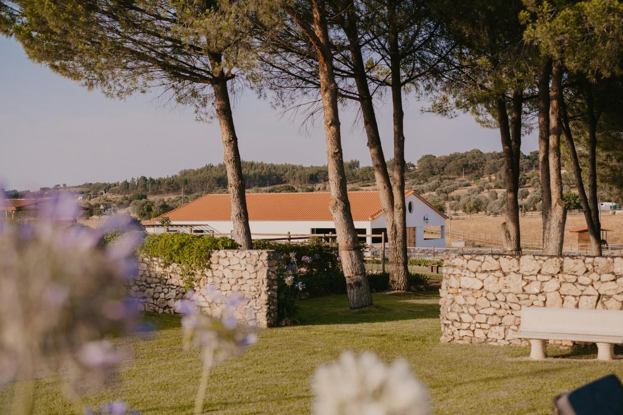 Quinta Carvalhas - The Green Farm Otel Casevel Dış mekan fotoğraf