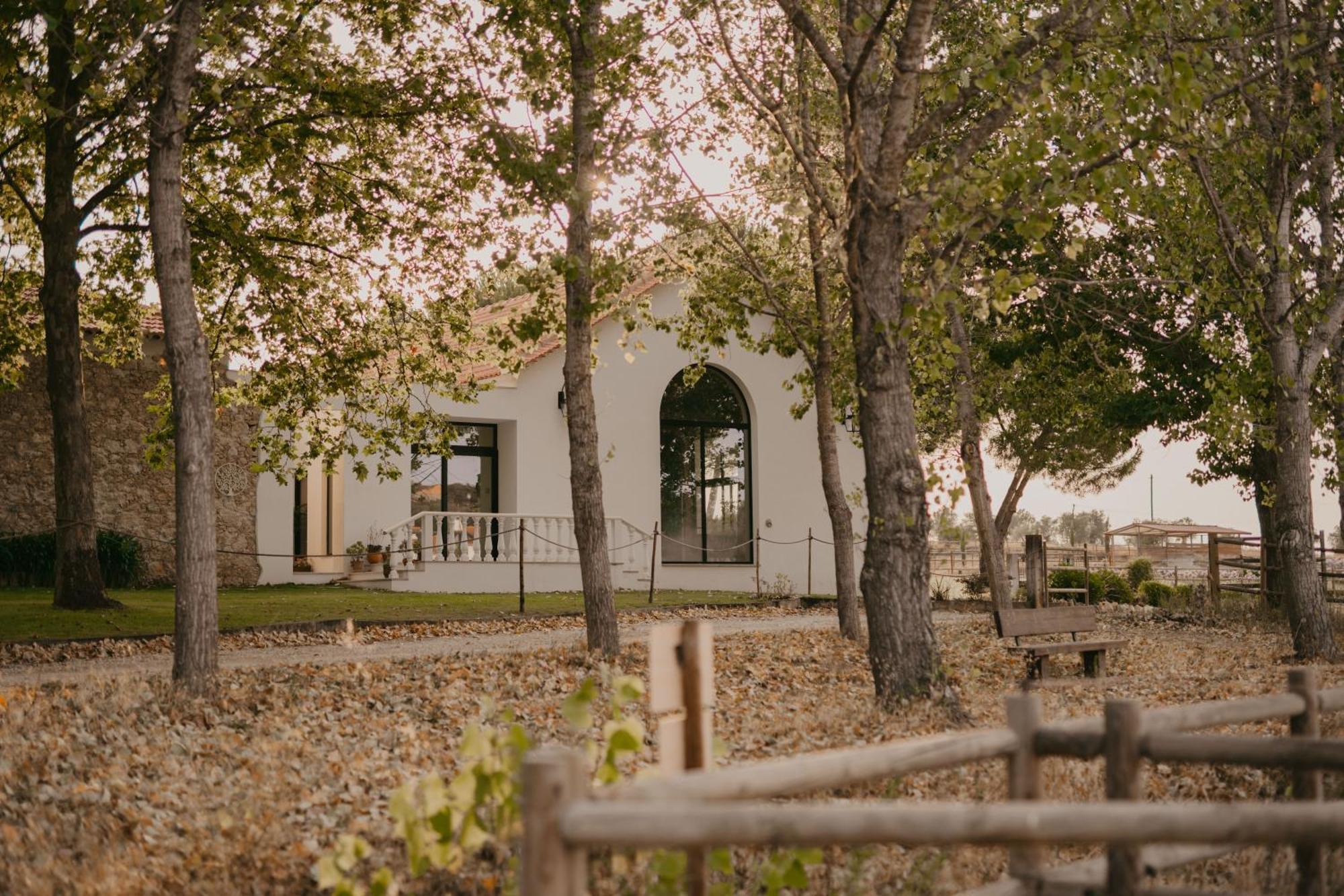 Quinta Carvalhas - The Green Farm Otel Casevel Dış mekan fotoğraf