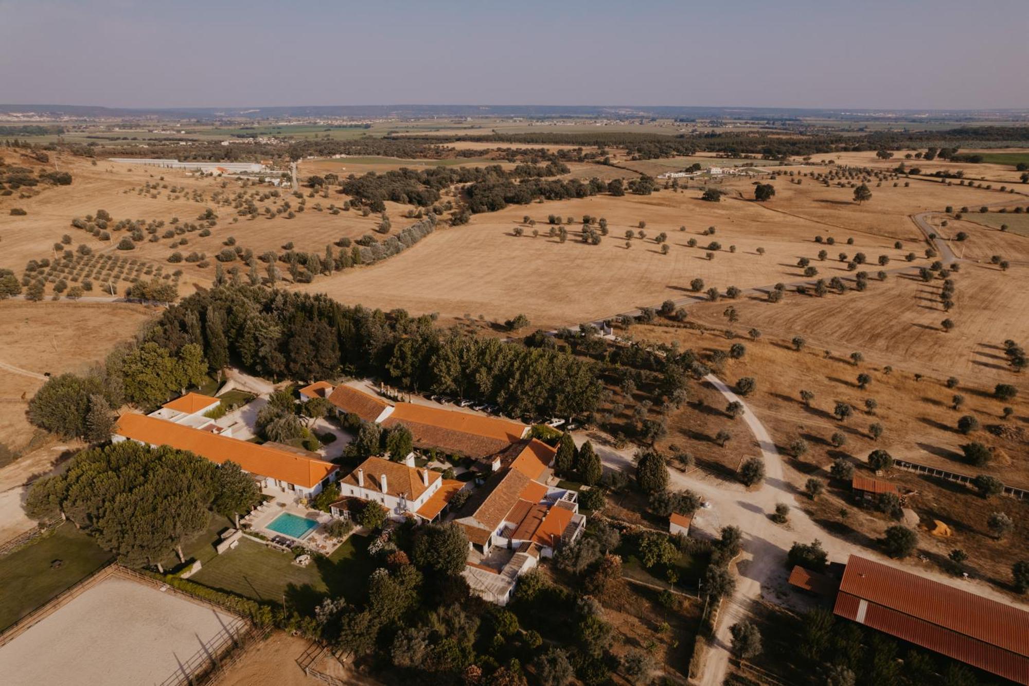 Quinta Carvalhas - The Green Farm Otel Casevel Dış mekan fotoğraf